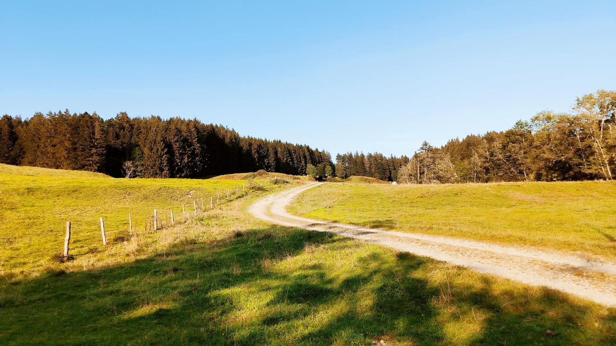 Fewo Allgaeuerle1605 Mit Hallenbad, Sauna, Tiefgarage Und Wlan Міссен-Вільгамс Екстер'єр фото