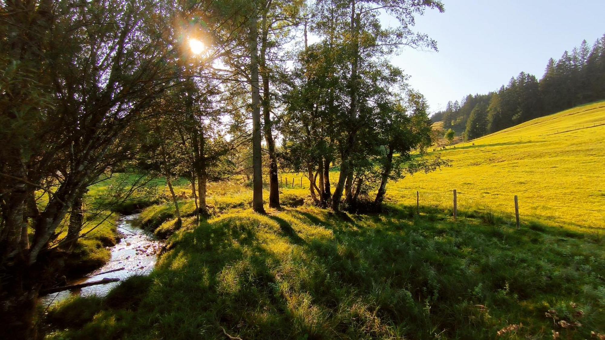 Fewo Allgaeuerle1605 Mit Hallenbad, Sauna, Tiefgarage Und Wlan Міссен-Вільгамс Екстер'єр фото